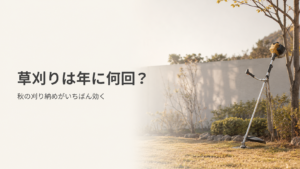 草刈り替刃で秋の刈り納めを終えた庭｜草刈りは年に何回が目安か
