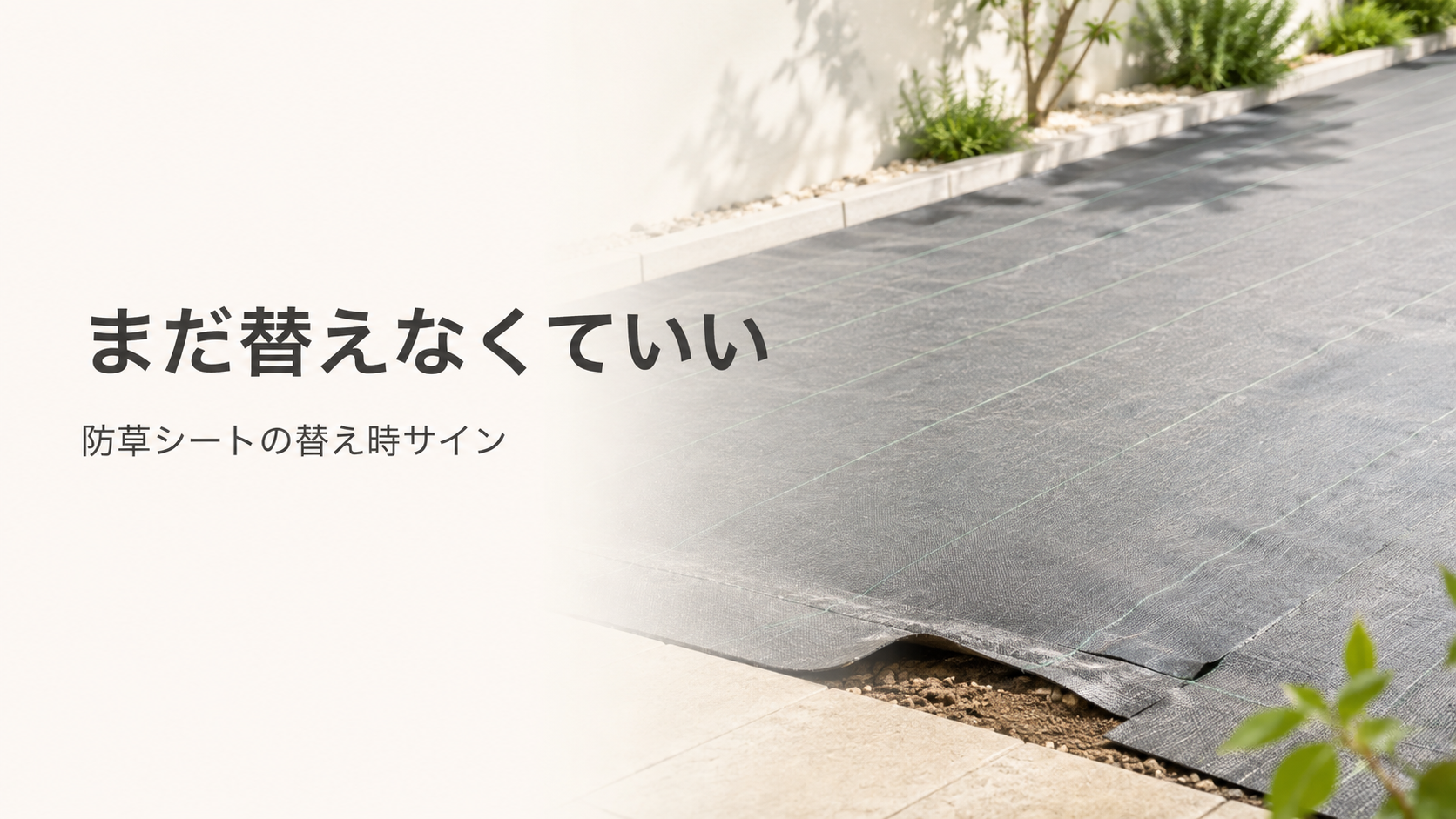 Nestray防草シート補修テープ|張り替え時期の見分け方と、キワ・つなぎ目をふさぐ部分補修